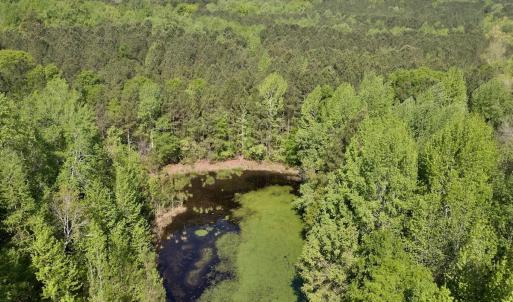 Photo #15 of SOLD property in Off US Hwy 220 Alternate, Ellerbe, NC 33.0 acres