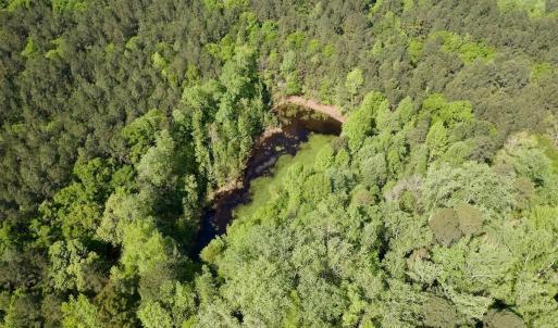 Photo #16 of SOLD property in Off US Hwy 220 Alternate, Ellerbe, NC 33.0 acres