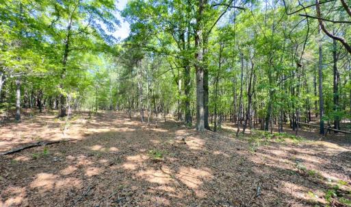 Photo #17 of SOLD property in Off US Hwy 220 Alternate, Ellerbe, NC 33.0 acres