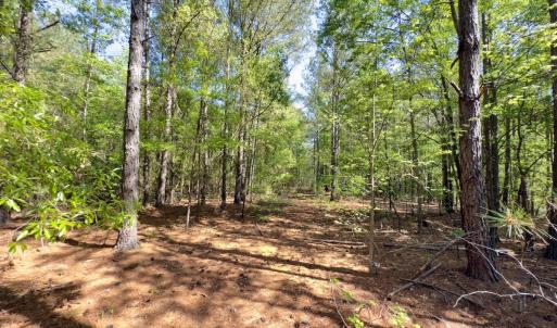 Photo #18 of SOLD property in Off US Hwy 220 Alternate, Ellerbe, NC 33.0 acres