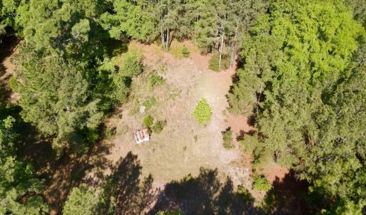 Photo #19 of SOLD property in Off US Hwy 220 Alternate, Ellerbe, NC 33.0 acres