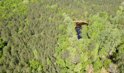 Photo #1 of SOLD property in Off US Hwy 220 Alternate, Ellerbe, NC 33.0 acres