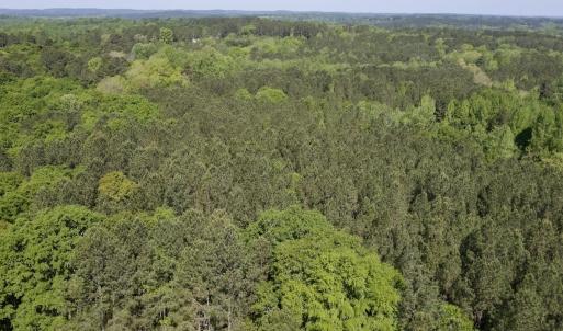 Photo #2 of SOLD property in Off US Hwy 220 Alternate, Ellerbe, NC 33.0 acres