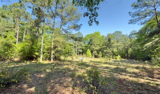 Photo #3 of SOLD property in Off US Hwy 220 Alternate, Ellerbe, NC 33.0 acres
