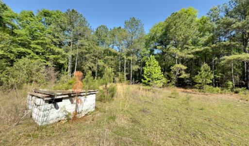 Photo #4 of SOLD property in Off US Hwy 220 Alternate, Ellerbe, NC 33.0 acres