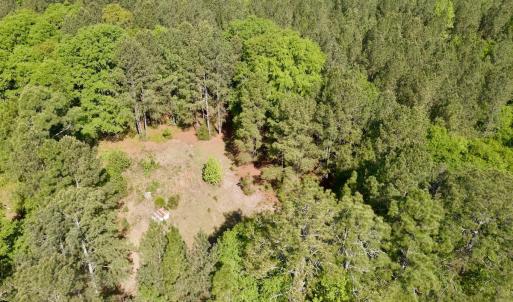 Photo #5 of SOLD property in Off US Hwy 220 Alternate, Ellerbe, NC 33.0 acres