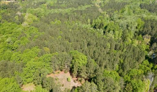Photo #6 of SOLD property in Off US Hwy 220 Alternate, Ellerbe, NC 33.0 acres