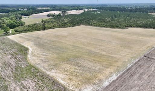 Photo #10 of Off Hwy 41, Trenton, NC 18.1 acres