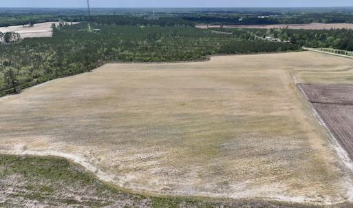 Photo #11 of Off Hwy 41, Trenton, NC 18.1 acres