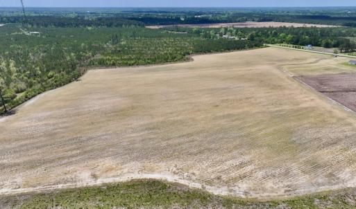Photo #12 of Off Hwy 41, Trenton, NC 18.1 acres
