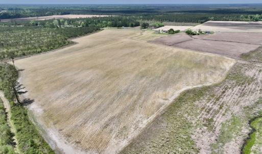 Photo #13 of Off Hwy 41, Trenton, NC 18.1 acres