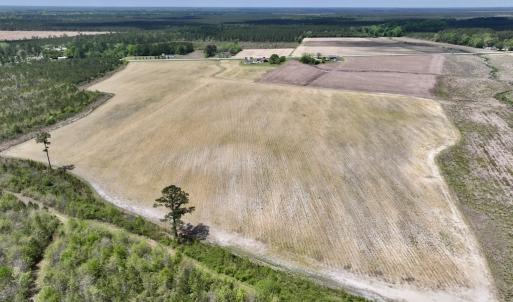 Photo #14 of Off Hwy 41, Trenton, NC 18.1 acres