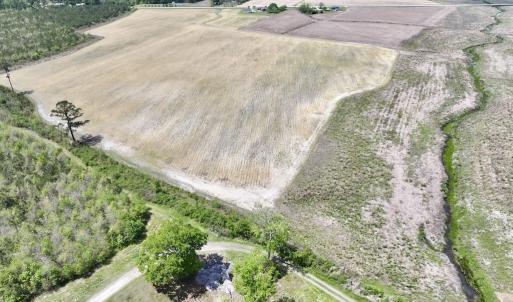 Photo #15 of Off Hwy 41, Trenton, NC 18.1 acres