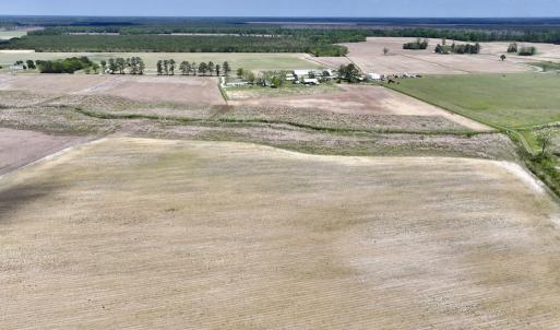 Photo #17 of Off Hwy 41, Trenton, NC 18.1 acres