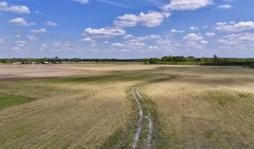 Photo #18 of Off Hwy 41, Trenton, NC 18.1 acres