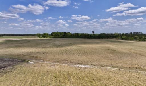 Photo #19 of Off Hwy 41, Trenton, NC 18.1 acres