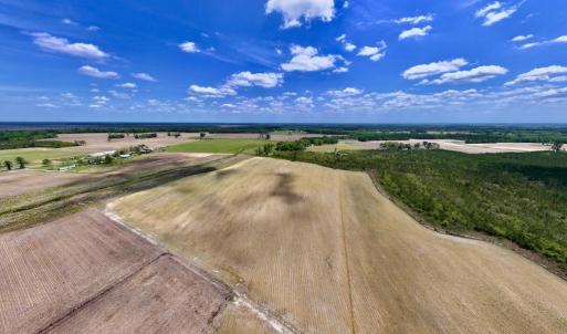 Photo #1 of Off Hwy 41, Trenton, NC 18.1 acres