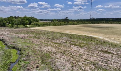 Photo #20 of Off Hwy 41, Trenton, NC 18.1 acres
