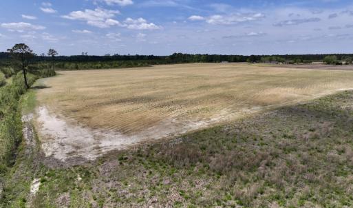 Photo #21 of Off Hwy 41, Trenton, NC 18.1 acres