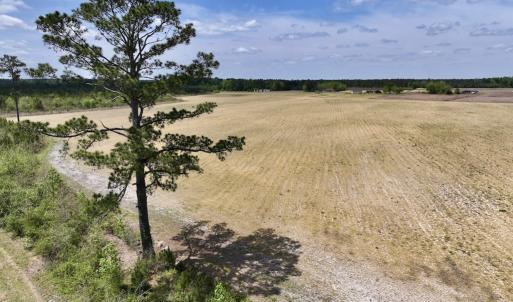 Photo #22 of Off Hwy 41, Trenton, NC 18.1 acres