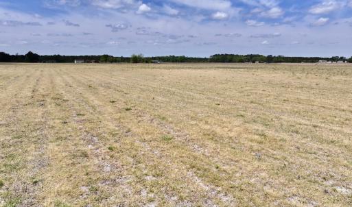 Photo #23 of Off Hwy 41, Trenton, NC 18.1 acres