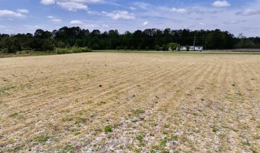 Photo #24 of Off Hwy 41, Trenton, NC 18.1 acres
