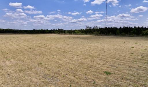 Photo #25 of Off Hwy 41, Trenton, NC 18.1 acres