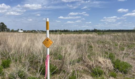 Photo #27 of Off Hwy 41, Trenton, NC 18.1 acres