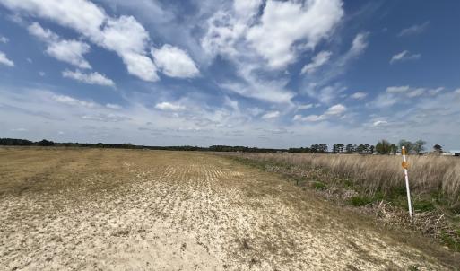 Photo #28 of Off Hwy 41, Trenton, NC 18.1 acres