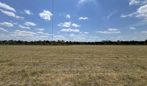 Photo #30 of Off Hwy 41, Trenton, NC 18.1 acres
