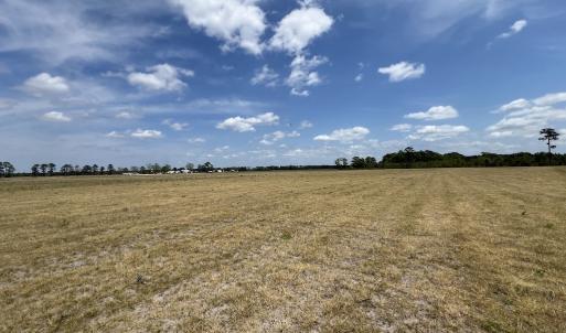 Photo #31 of Off Hwy 41, Trenton, NC 18.1 acres