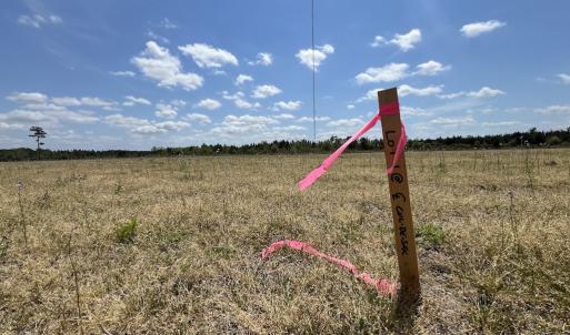 Photo #32 of Off Hwy 41, Trenton, NC 18.1 acres
