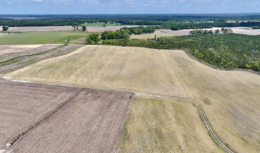 Photo #5 of Off Hwy 41, Trenton, NC 18.1 acres