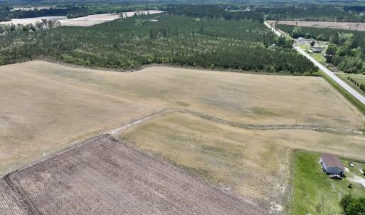 Photo #6 of Off Hwy 41, Trenton, NC 18.1 acres