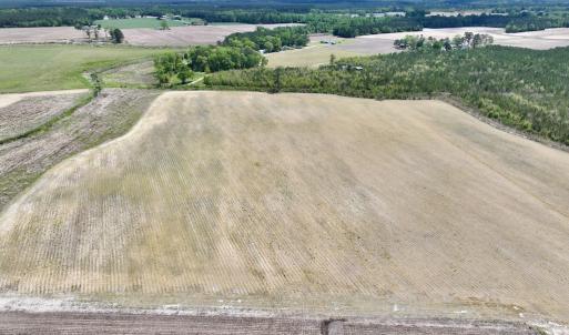 Photo #7 of Off Hwy 41, Trenton, NC 18.1 acres