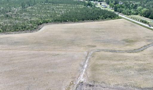 Photo #8 of Off Hwy 41, Trenton, NC 18.1 acres
