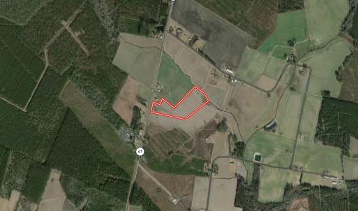 Photo #33 of Off Hwy 41, Trenton, NC 18.1 acres