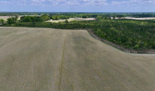Photo #10 of Off Hwy 41, Trenton, NC 20.0 acres