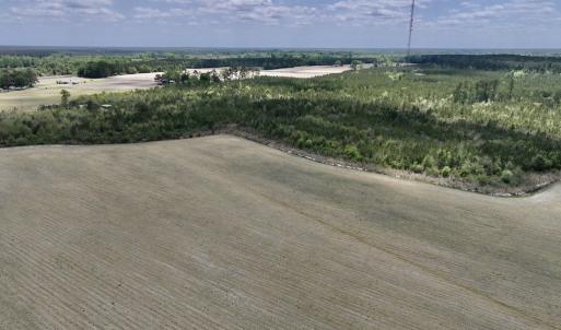 Photo #11 of Off Hwy 41, Trenton, NC 20.0 acres