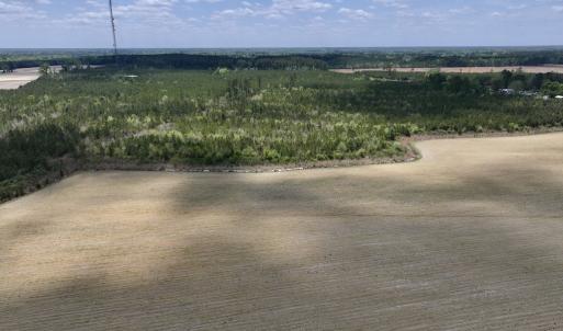 Photo #12 of Off Hwy 41, Trenton, NC 20.0 acres