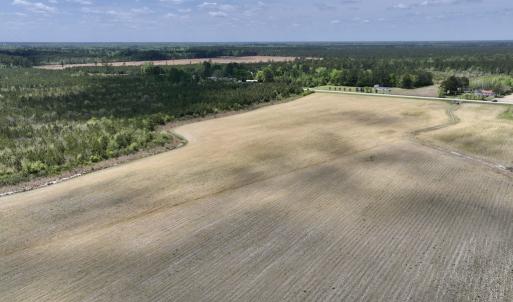 Photo #13 of Off Hwy 41, Trenton, NC 20.0 acres