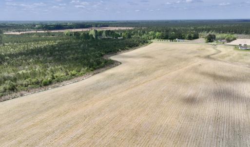 Photo #14 of Off Hwy 41, Trenton, NC 20.0 acres