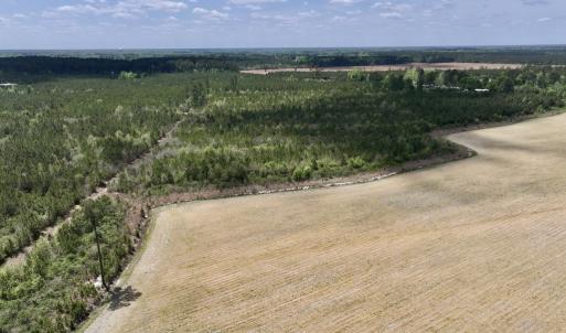 Photo #15 of Off Hwy 41, Trenton, NC 20.0 acres