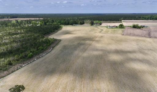 Photo #16 of Off Hwy 41, Trenton, NC 20.0 acres