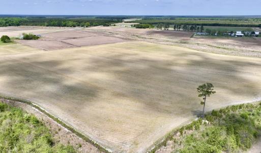 Photo #17 of Off Hwy 41, Trenton, NC 20.0 acres