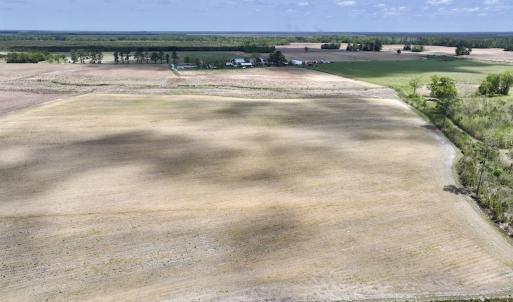 Photo #18 of Off Hwy 41, Trenton, NC 20.0 acres