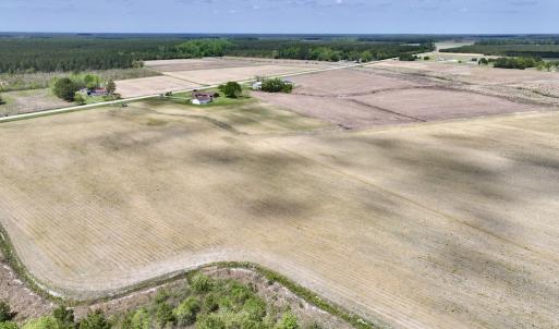 Photo #19 of Off Hwy 41, Trenton, NC 20.0 acres