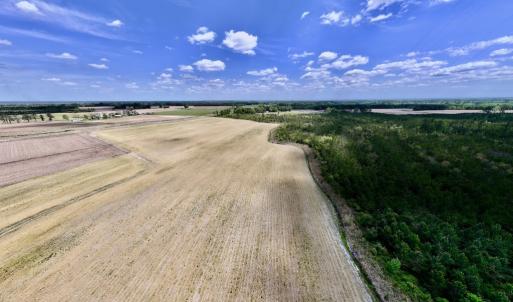 Photo #1 of Off Hwy 41, Trenton, NC 20.0 acres