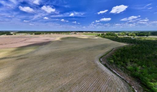 Photo #2 of Off Hwy 41, Trenton, NC 20.0 acres