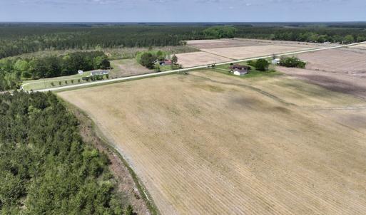 Photo #20 of Off Hwy 41, Trenton, NC 20.0 acres